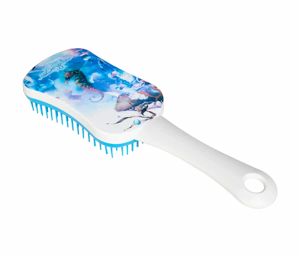 Dessata - Brosse démêlante MANCHE