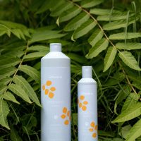 Le Hydrating Shampoo est spécialement formulé pour répondre aux besoins des cheveux secs, crépus ou difficiles à coiffer. Grâce à ses propriétés nourrissantes et émollientes, ce shampoing offre une hydratation en profondeur tout en laissant les cheveux doux, souples et faciles à démêler. Il est l'allié parfait pour redonner vie à des cheveux abîmés, déshydratés ou difficiles à gérer.